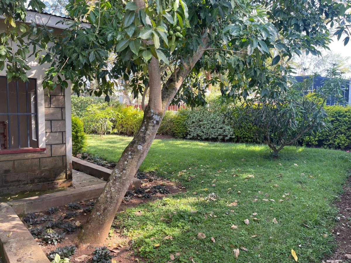 Easy Sleep Guesthouse Kitale Eksteriør bilde